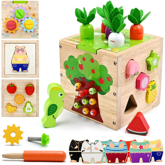 Montessori Wooden Activity Cube